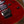 Ibanez KIKO100-TRR (SIGNED!!)