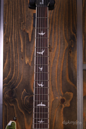 PRS SE Ed Sheeran Hollowbody I Piezo Baritone Kaleidoscope