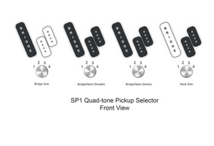 Dingwall SP1 Ducati Pearl White