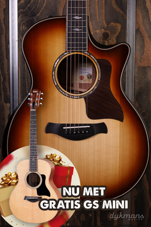 Taylor Builder's Edition 814ce Adirondack Spruce