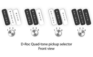 Dingwall D-Roc Standard Vintage Burst