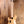 Sire Marcus Miller P7 2nd Gen alder 4-string bass guitar Natural