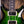PRS Santana Green Fade Smokeburst 10-Top