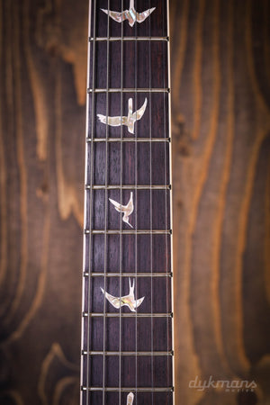 PRS Santana Green Fade Smokeburst 10-Top