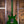 PRS Santana Green Fade Smokeburst 10-Top