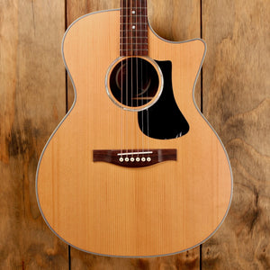 Eastman PCH2-GACE Natural