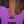 Ibanez LB1 Lari Basilio Signature Violet