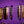 Ibanez LB1 Lari Basilio Signature Violet
