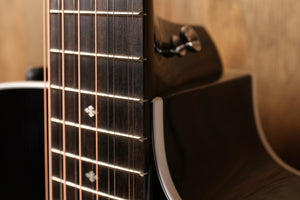 Taylor 250ce-BLK DLX B-stock